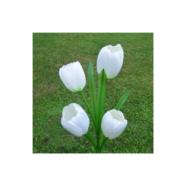 Tulip Puawai Tiaki Marama Rama Rara Ka taea te Rechargeable (ESG16583)